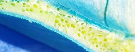 CellSure&reg; 微发泡技术